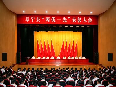 Party Building Leads the Way into a New Journey, Practical Work Strives for Excellence to Celebrate the Anniversary - Jiangsu Jinhai New Energy Technology Co., Ltd. Awarded as "Advanced Grassroots Party Organization" in Funing County